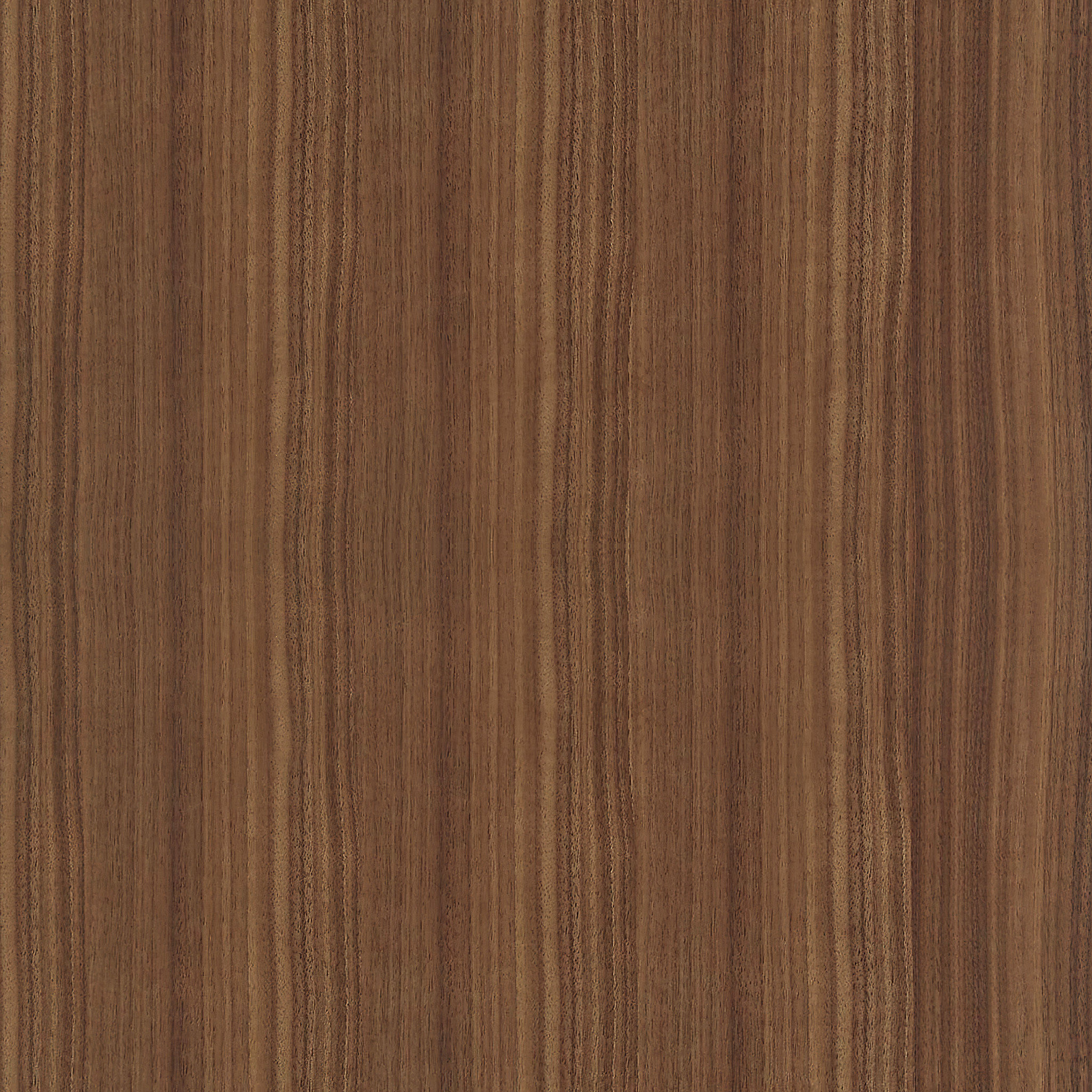 Araya Media Cabinet thumbnail 7