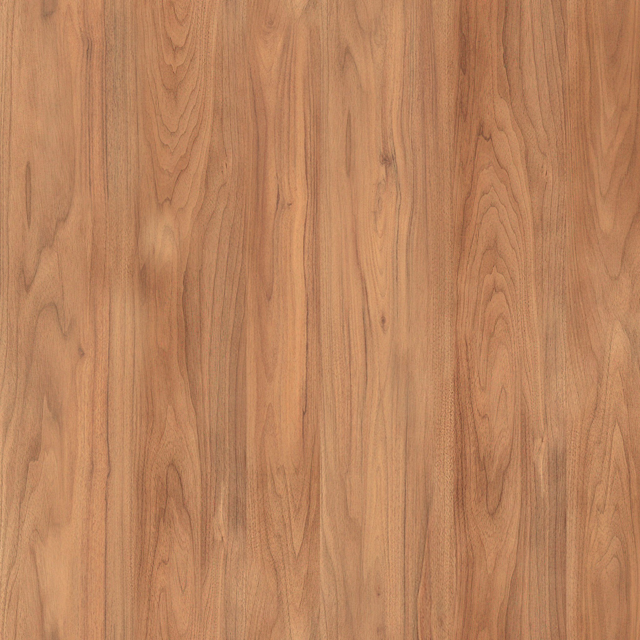 Exclusive Storage Coffee Table thumbnail 6