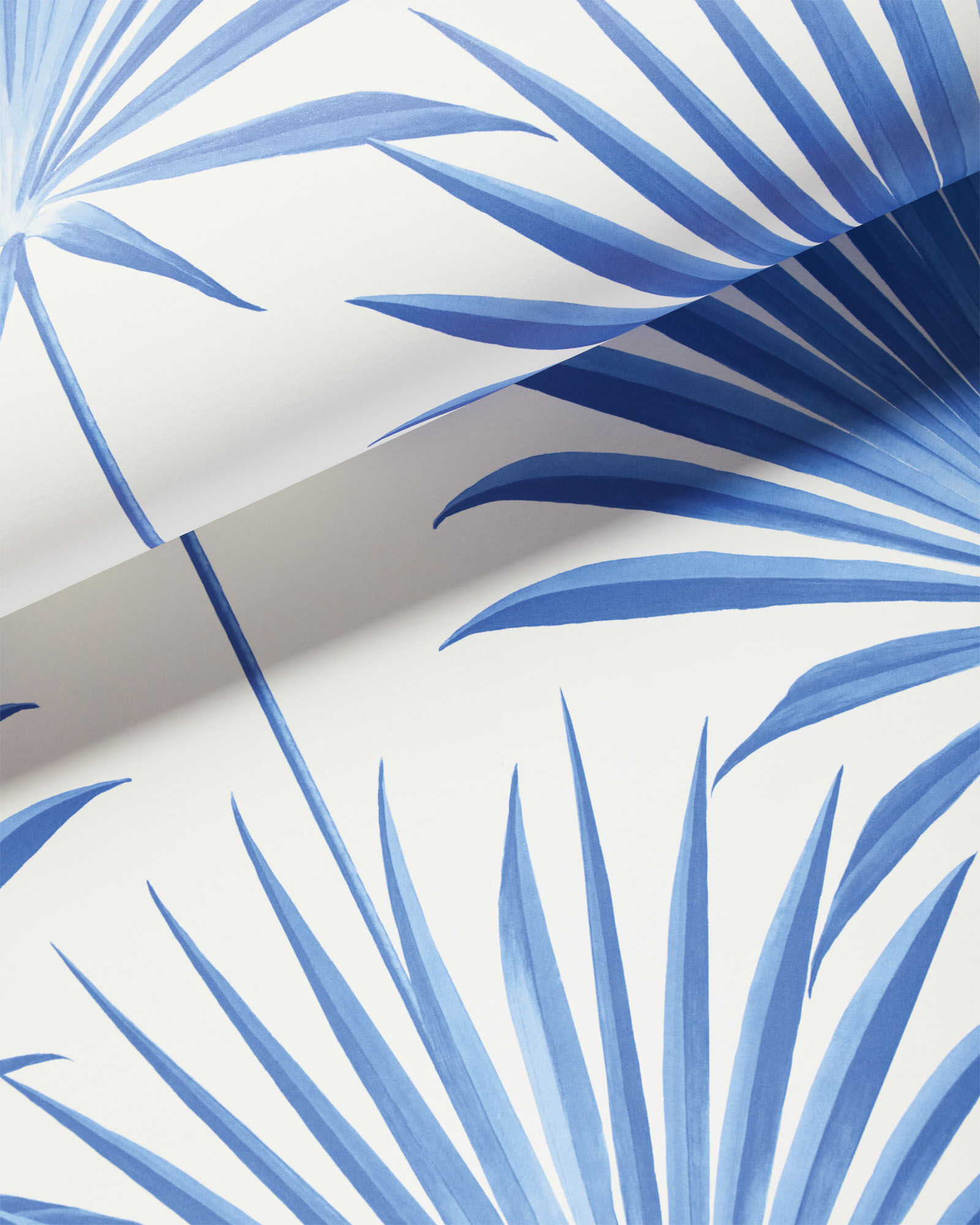 Island Palm Wallpaper thumbnail 4