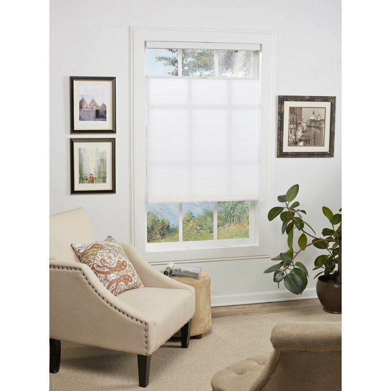 Cordless Top Down Bottom Up Semi Sheer Cellular Shade-27"x72" thumbnail 2