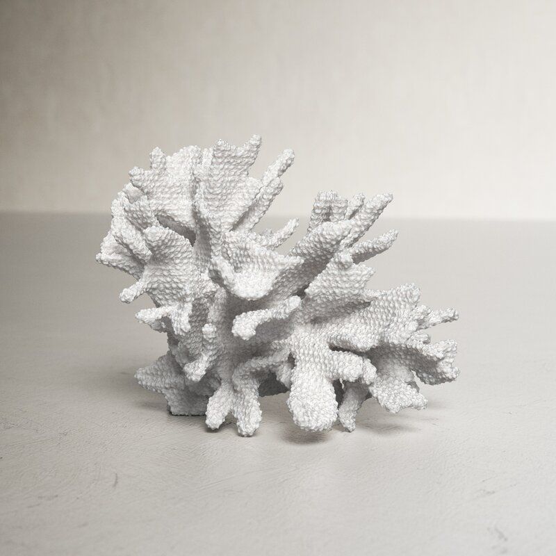 Dingman Coral Decor thumbnail 3