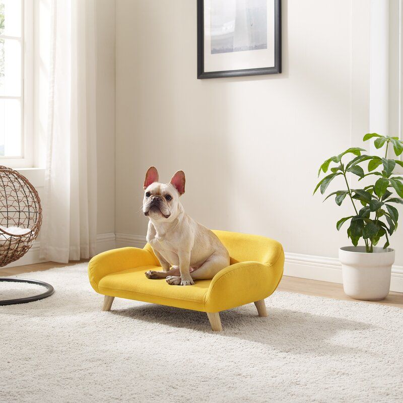 Sams Pets Akkeri Dog Couch Yellow thumbnail 6
