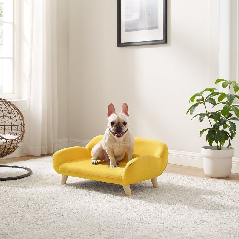 Sams Pets Akkeri Dog Couch Yellow thumbnail 7