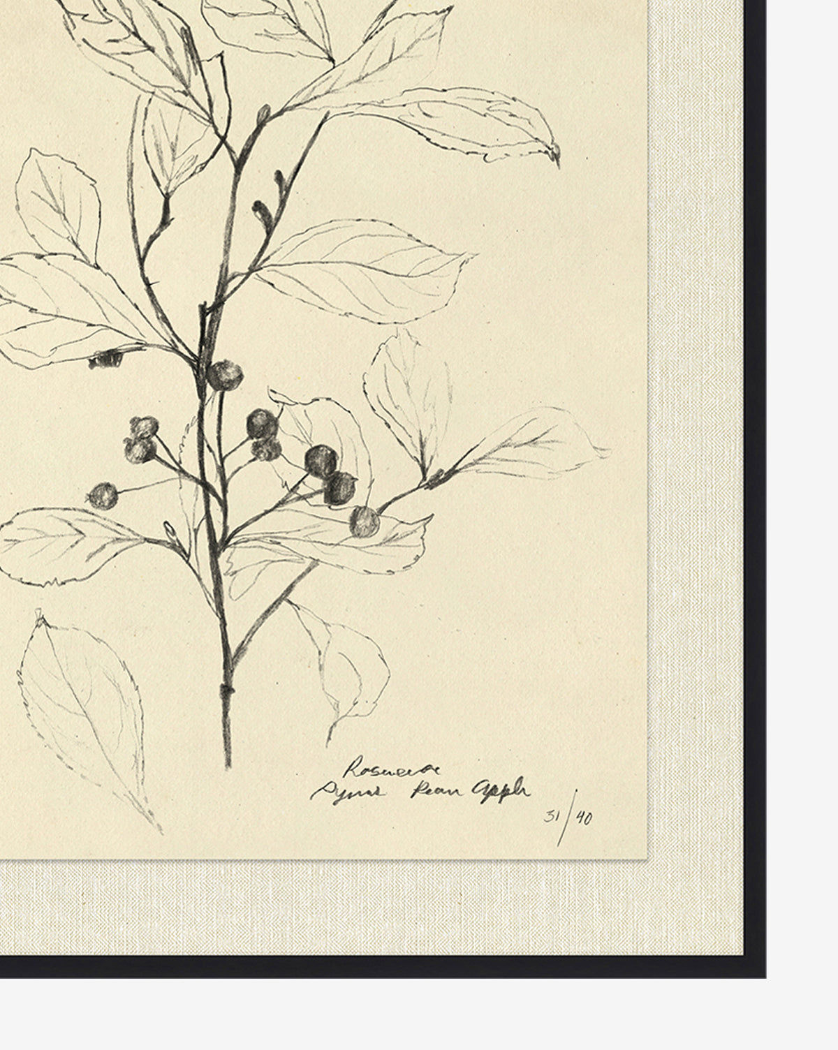 Floral Study 2 with Frame-21.5"x25.5" thumbnail 3