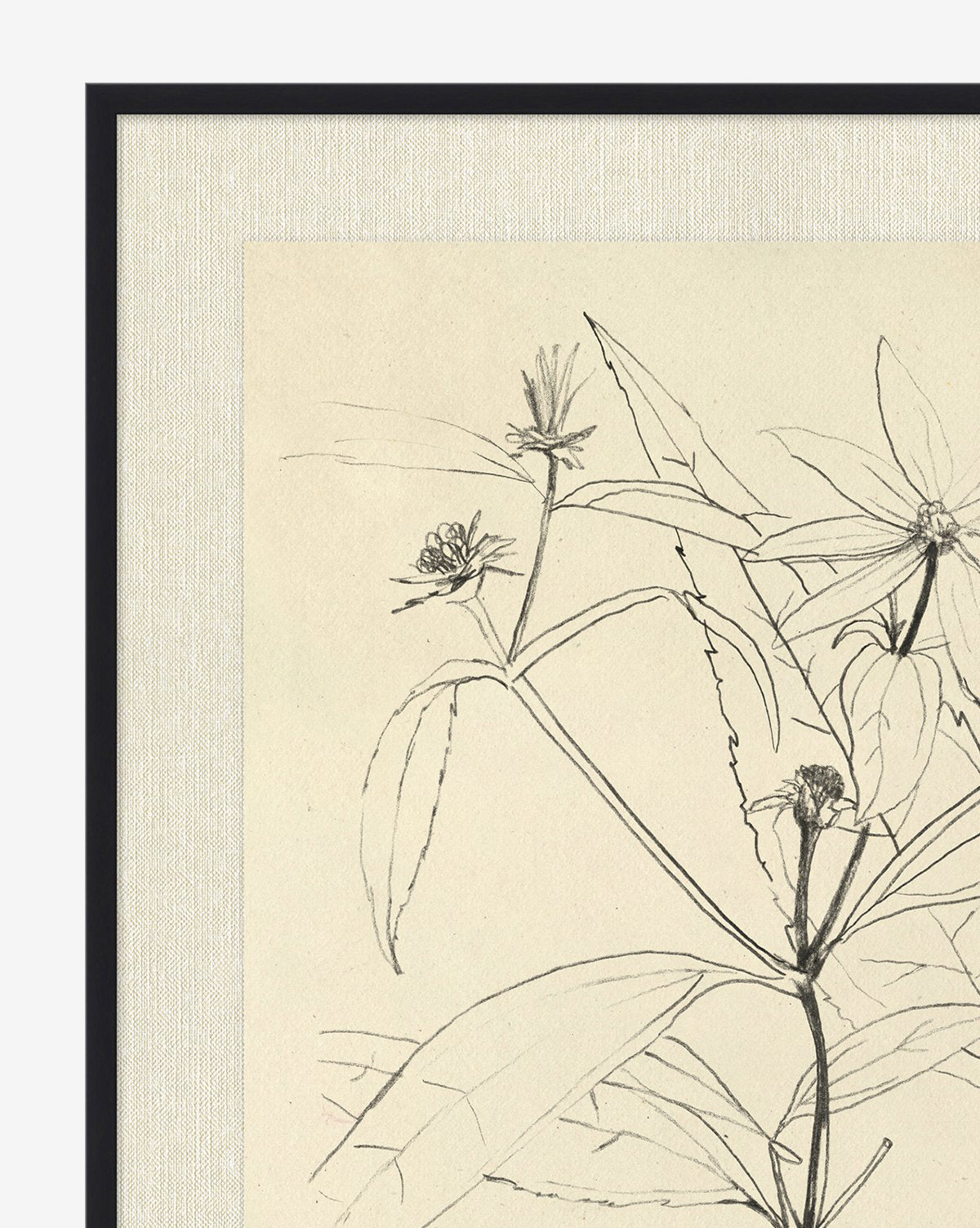 Floral Study 3 with Frame-21.5"x25.5" thumbnail 3