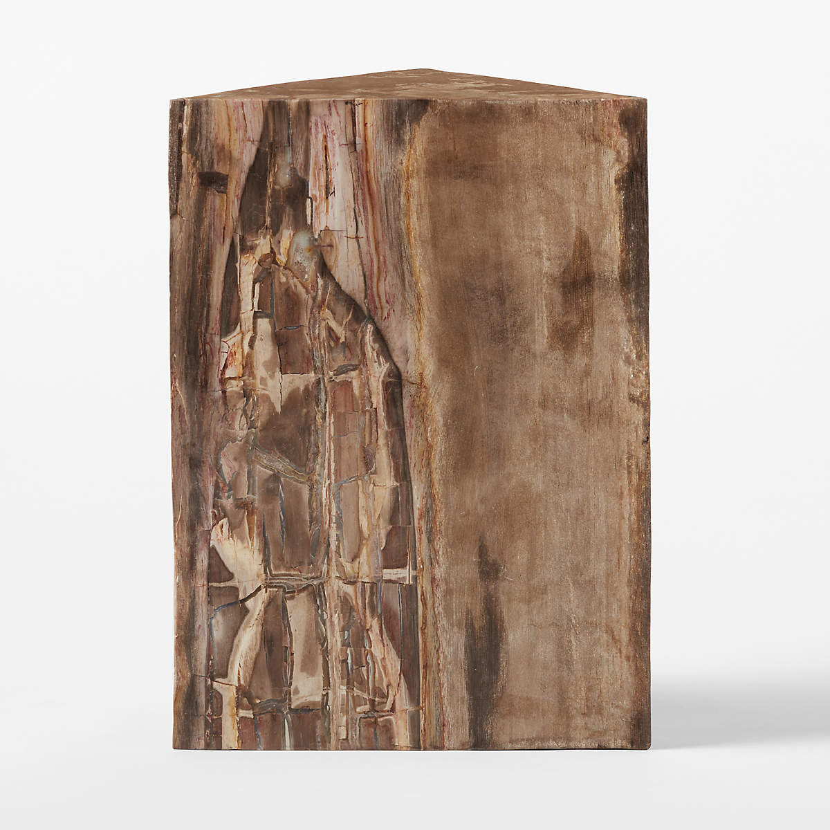 Tri Petrified Wood Side Table thumbnail 3