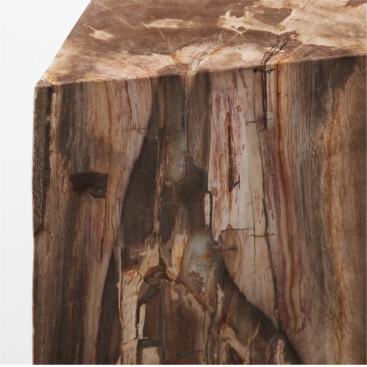 Tri Petrified Wood Side Table thumbnail 4