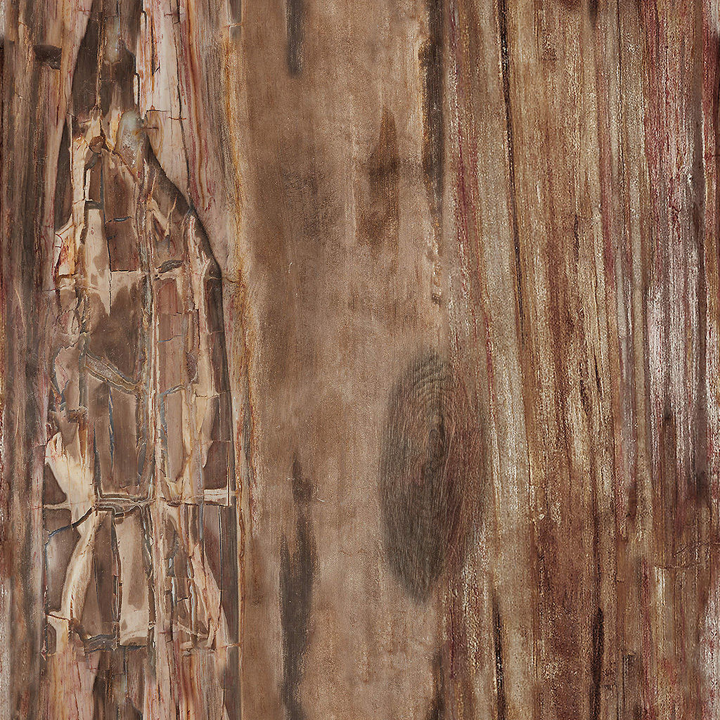 Tri Petrified Wood Side Table thumbnail 6
