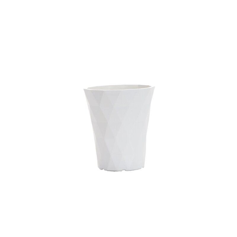 Thorsen's Greenhouse Succulent Plant Desktop Plant in a Plastic Pot thumbnail 3