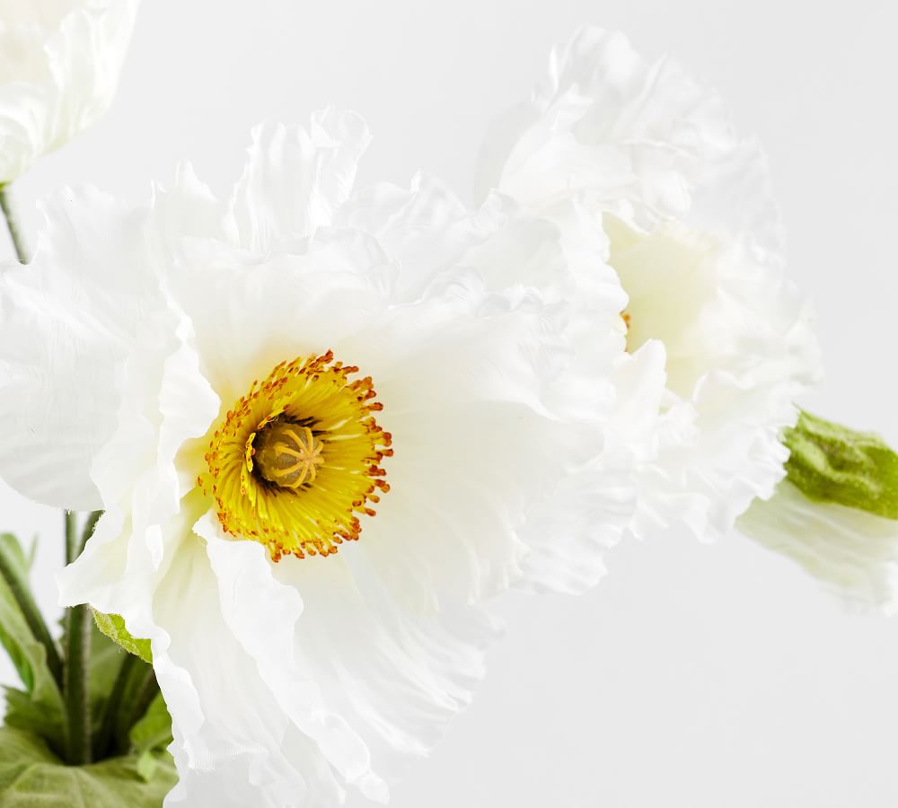 White Poppy Flower Bundle thumbnail 4