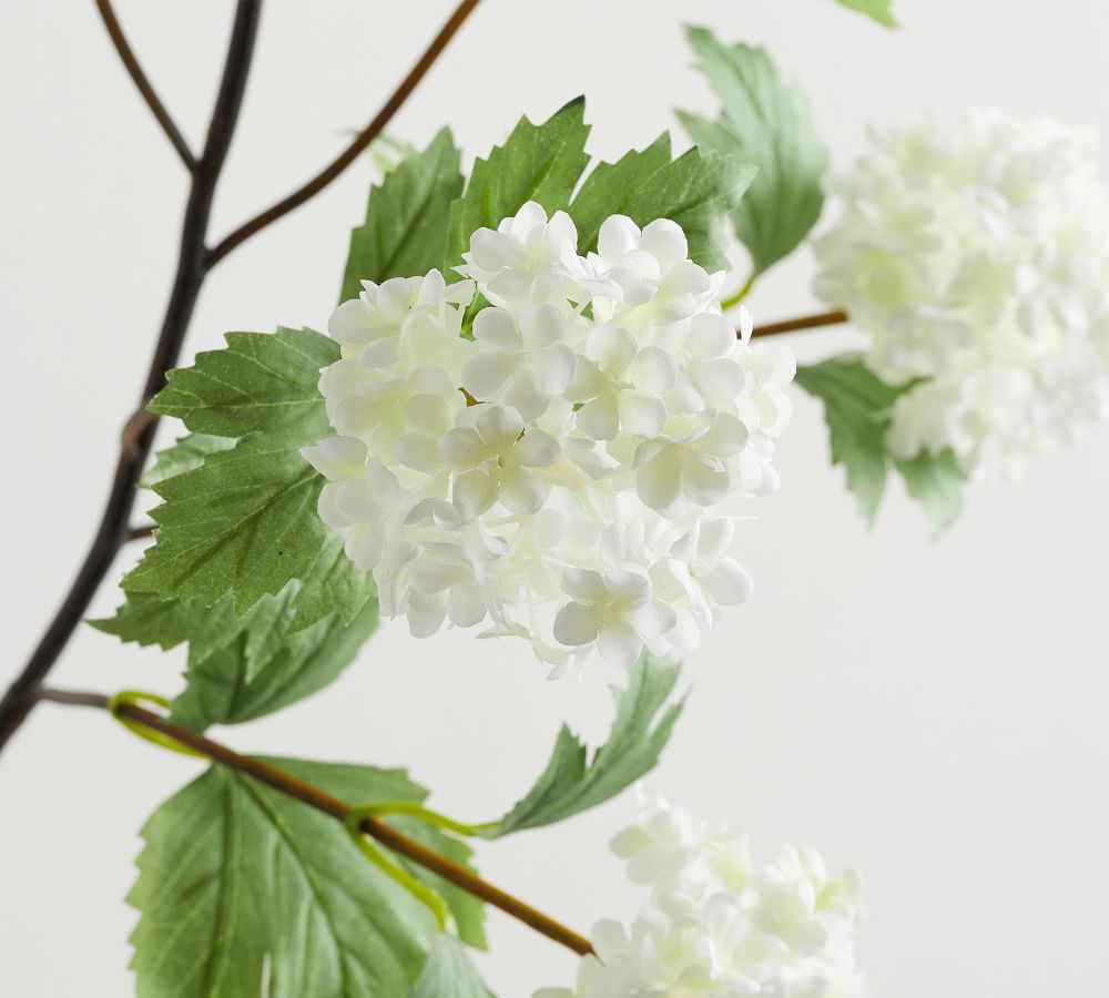Faux White Viburnum Branch thumbnail 3
