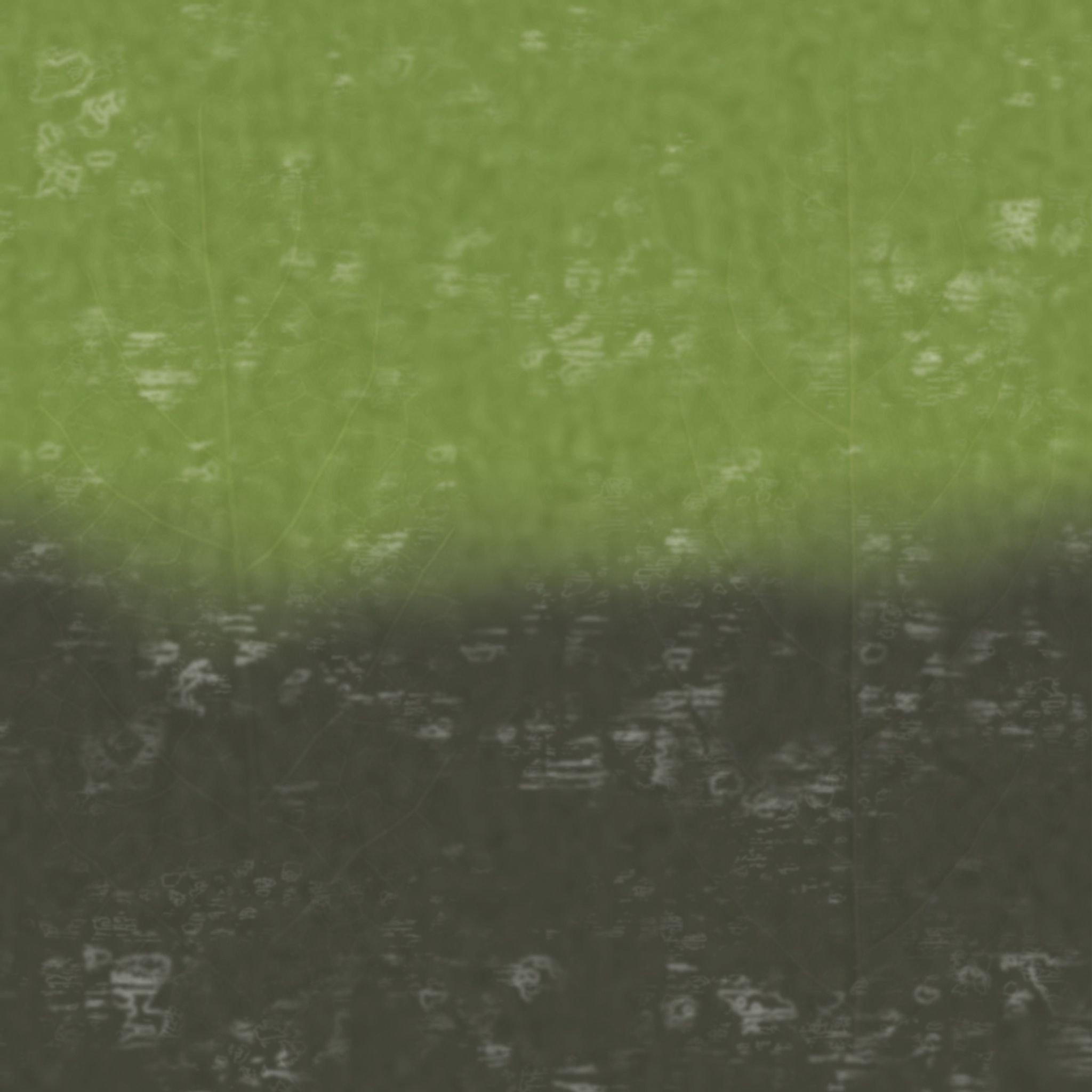 Okane Botanica Stem Set of 6 thumbnail 2