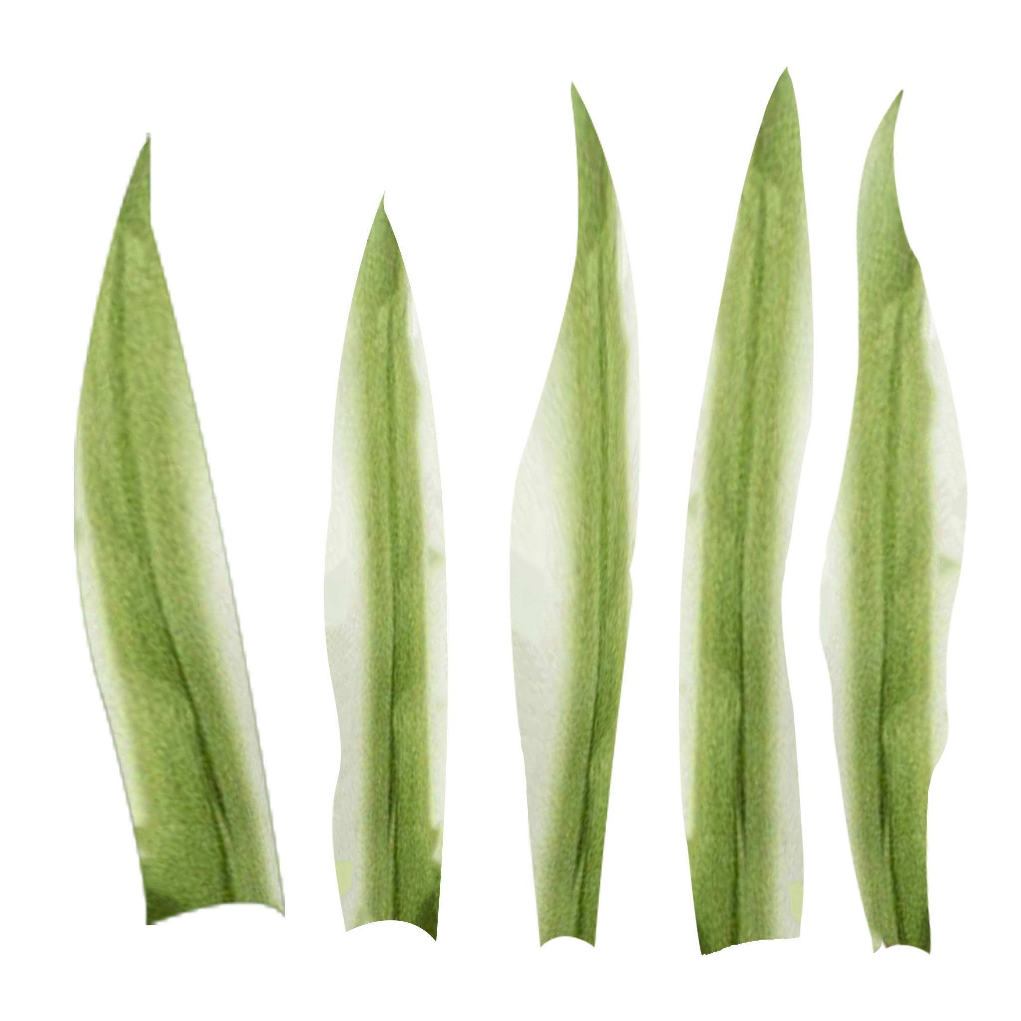 Faux Plant Stem Set of 6 thumbnail 2