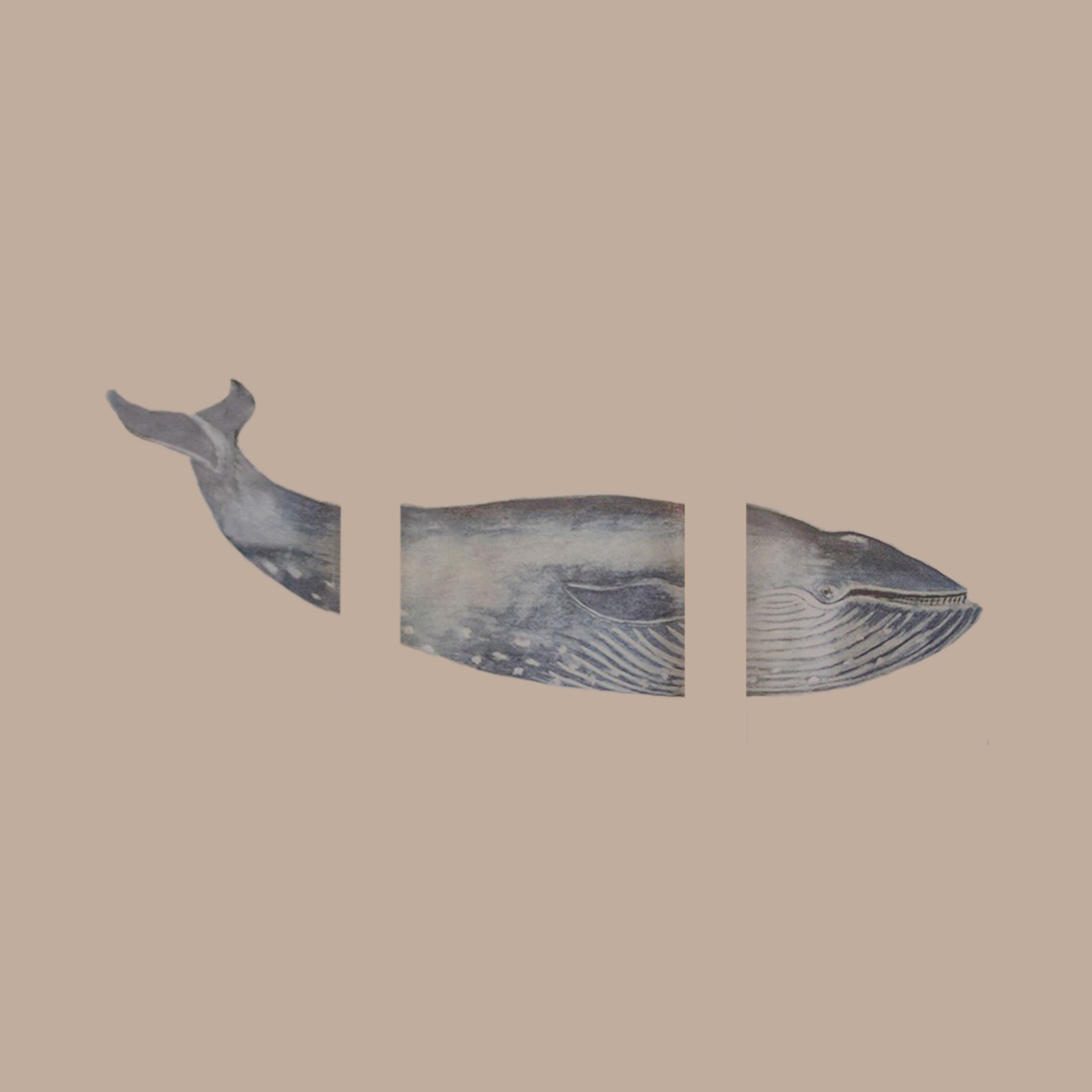 Triptych Framed Whale Print With Frame 58"x26" thumbnail 2