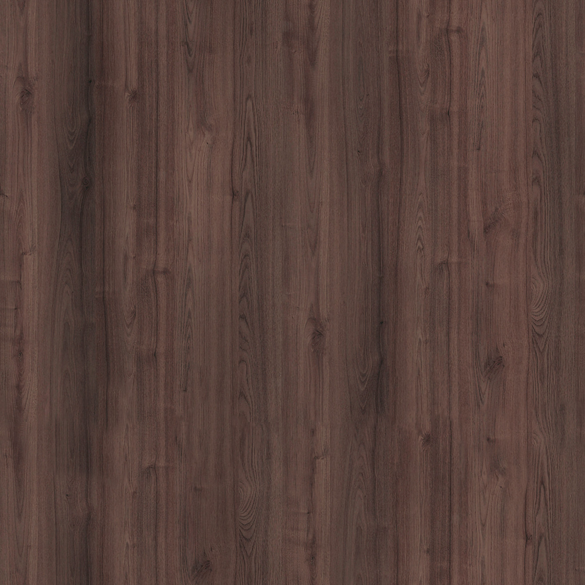 Kissa Canyon Tan Matte Walnut Dining Chair thumbnail 5