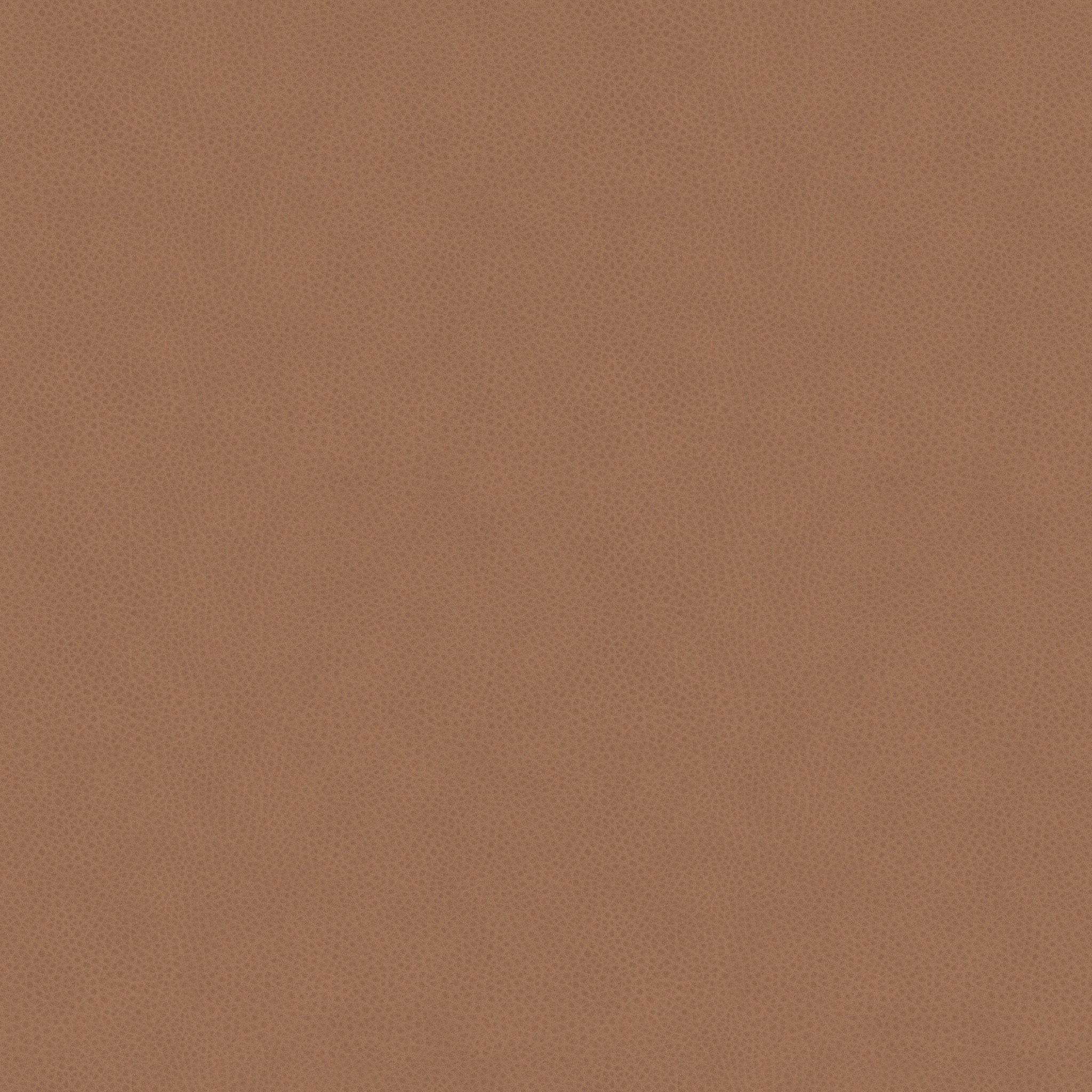 Kissa Canyon Tan Matte Walnut Dining Chair thumbnail 6