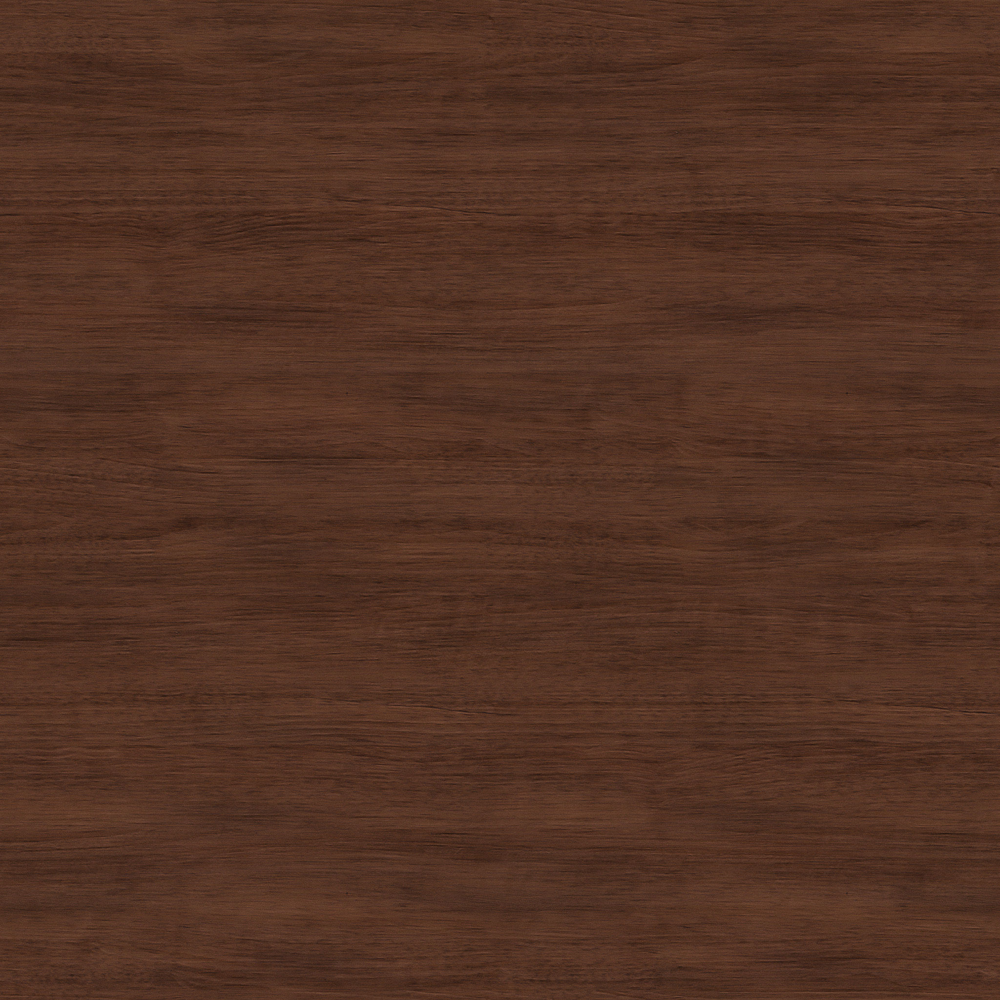 Riggs Walnut Shelf with Black Dot Brackets thumbnail 6