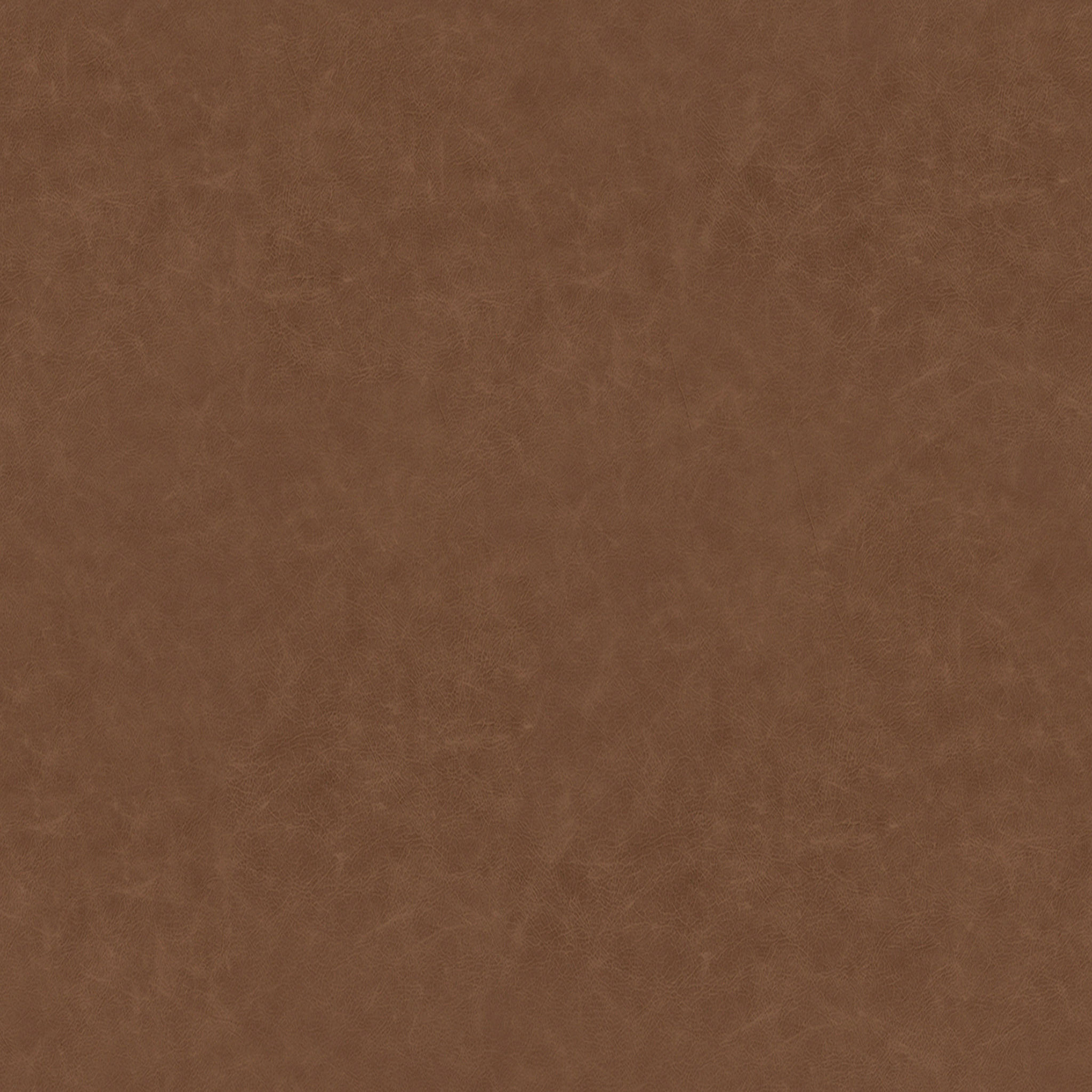 Raylan Leather Armchair thumbnail 3