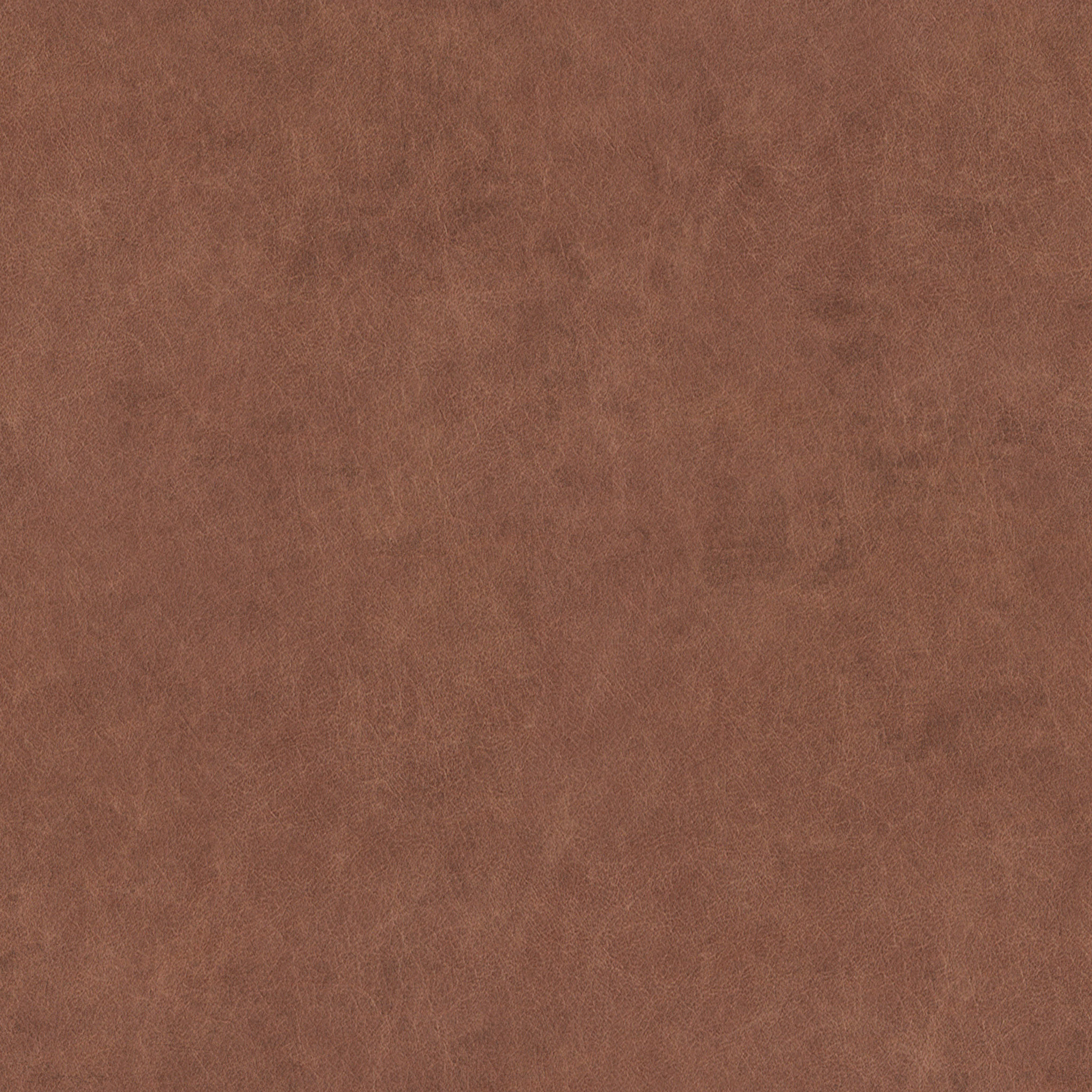 Alecxia Leather Side Chair thumbnail 6