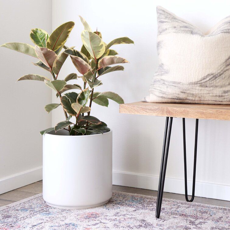 Porcelain Ceramic Pot Planter thumbnail 3
