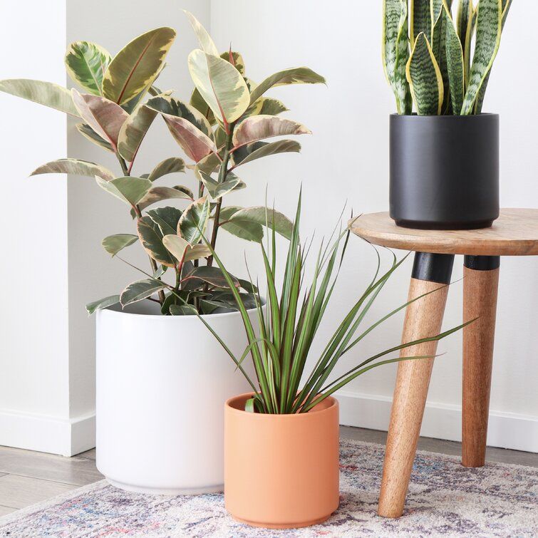 Porcelain Ceramic Pot Planter thumbnail 4