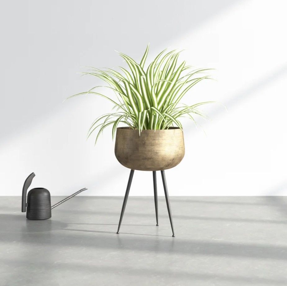 Mcmullen Iron Pot Planter thumbnail 2
