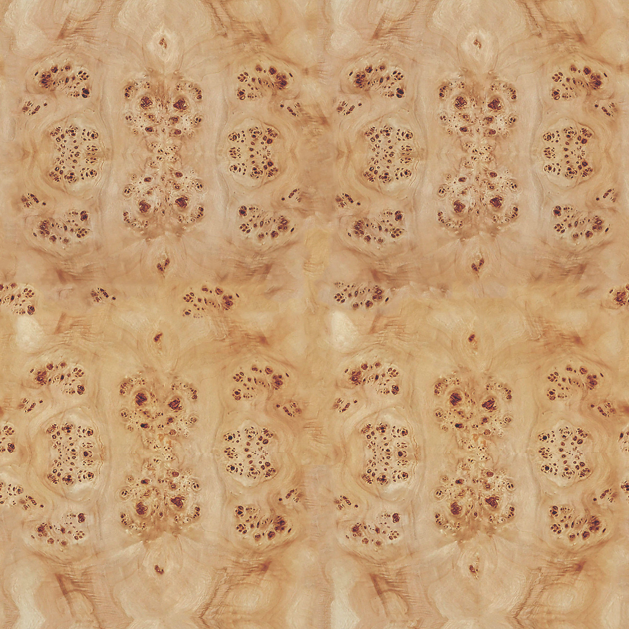 Marisa Burl Wood Desk thumbnail 6