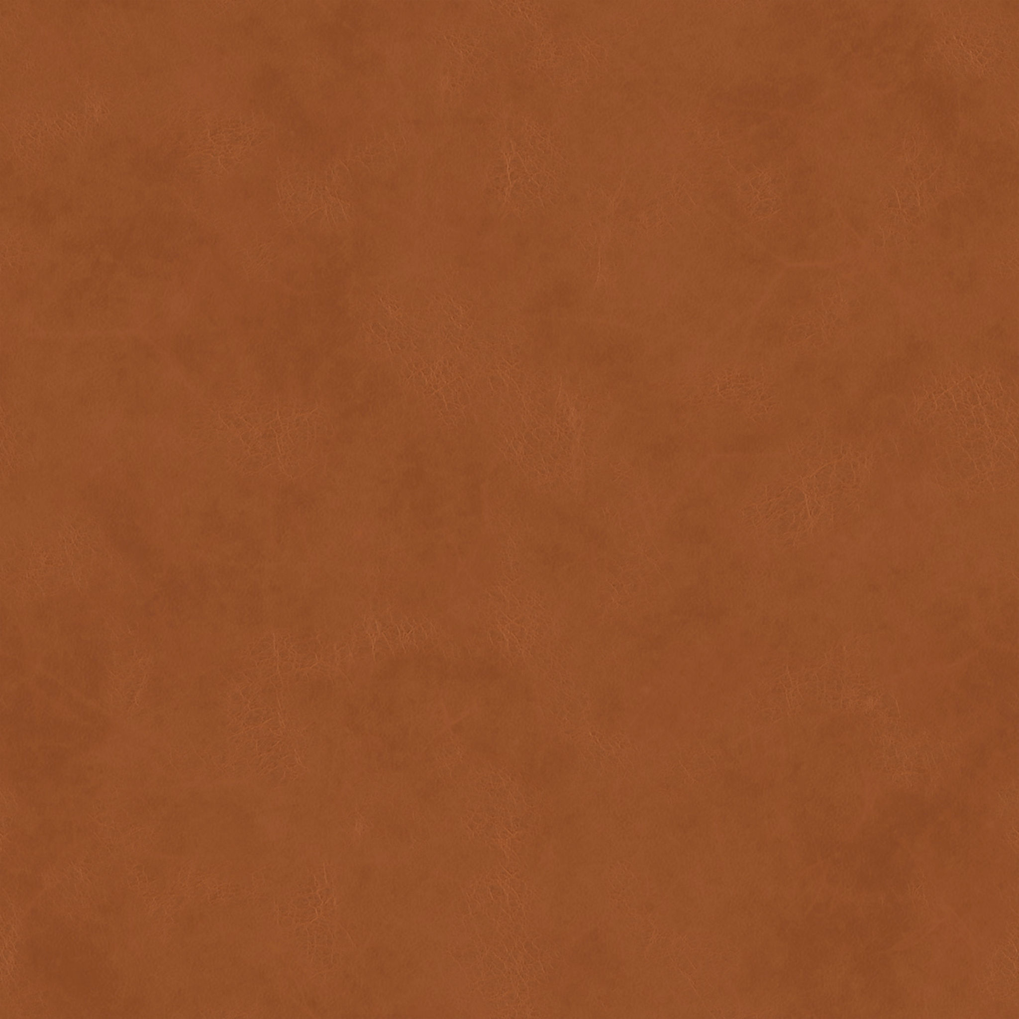 Slope Dining Chair thumbnail 3