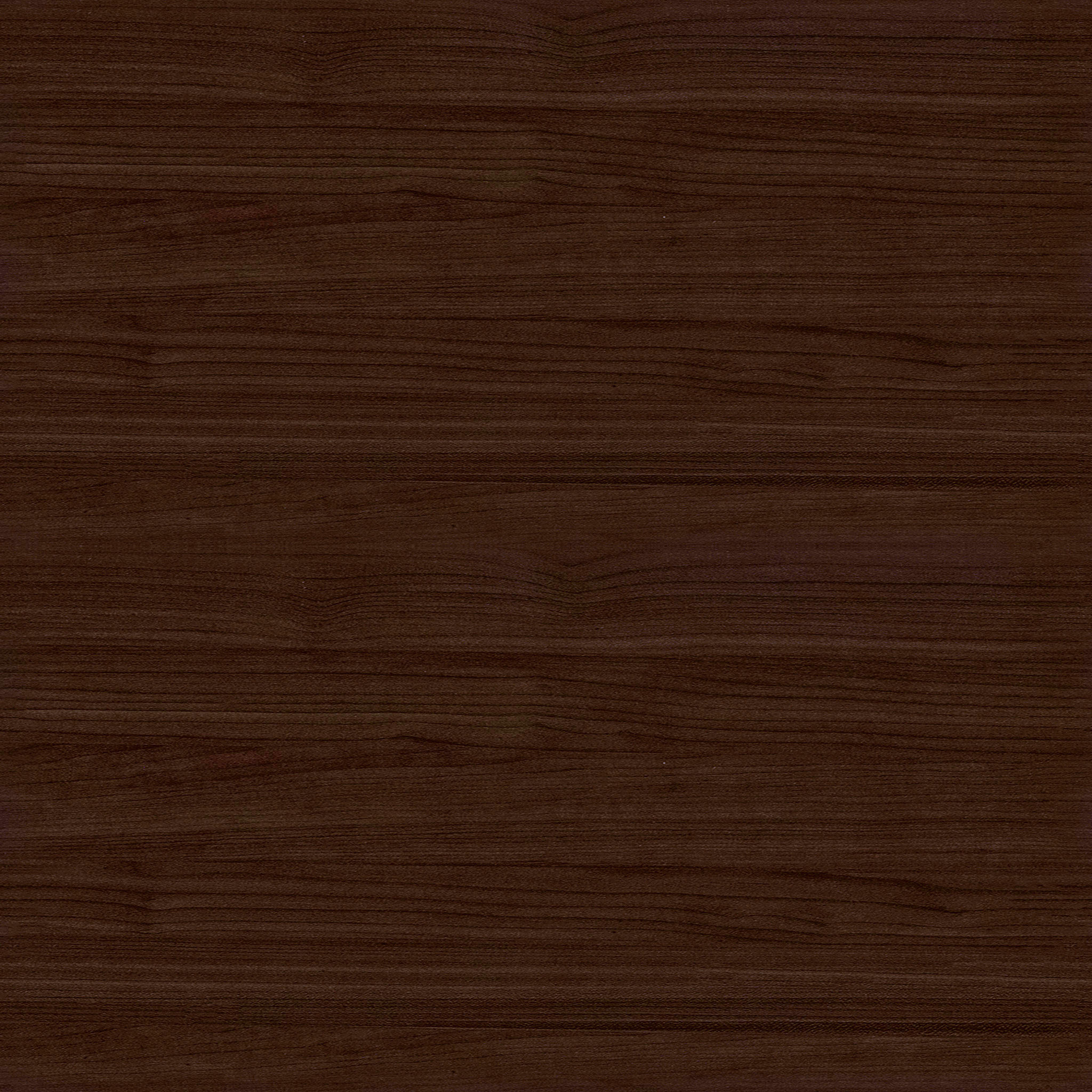 Ecole Black Leather Walnut Dining Chair Set Of 2 thumbnail 6