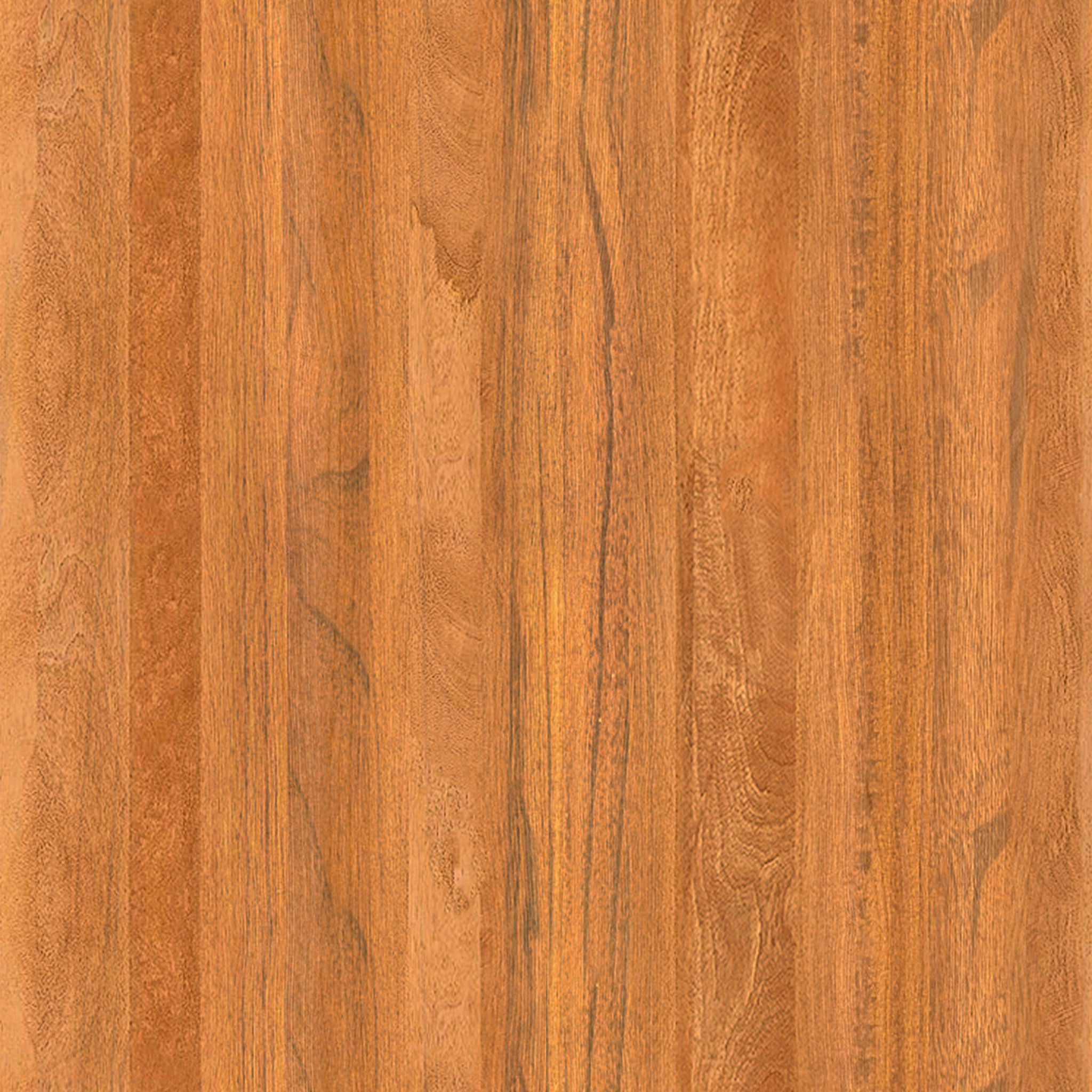 Sydnee Solid Wood Coffee Table thumbnail 4