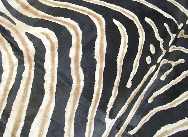 Annecorinne Animal Print Handmade Cowhide Rug-6'X7' thumbnail 3