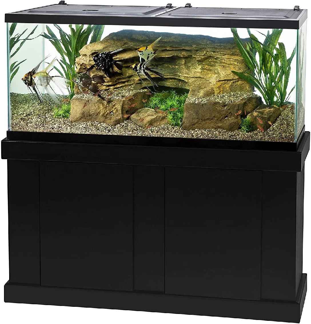 Aatikah Gallon Rectangle Aquarium Tank thumbnail 4