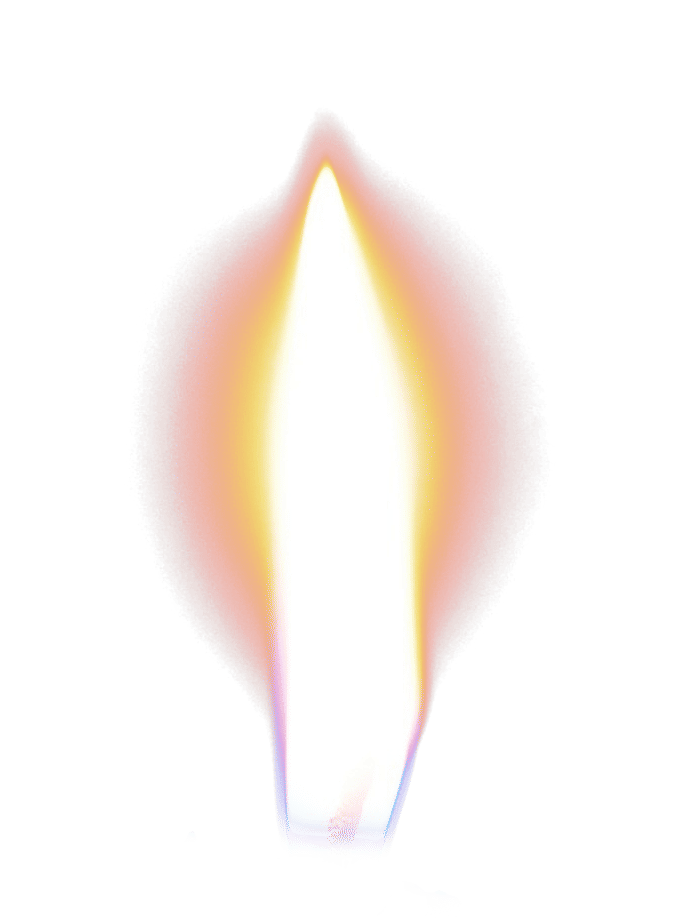 Fly Candle Fly Candle Holder thumbnail 6