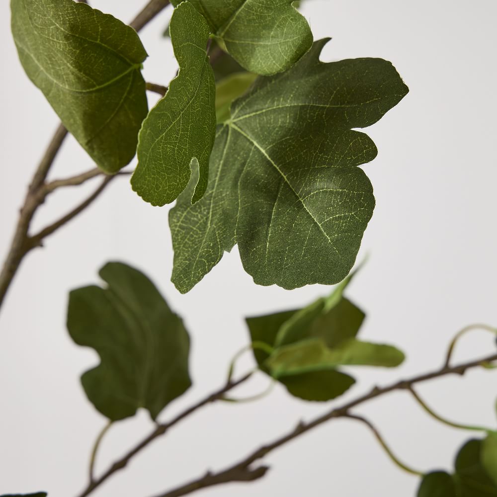 Faux Fig Tree Branch thumbnail 3