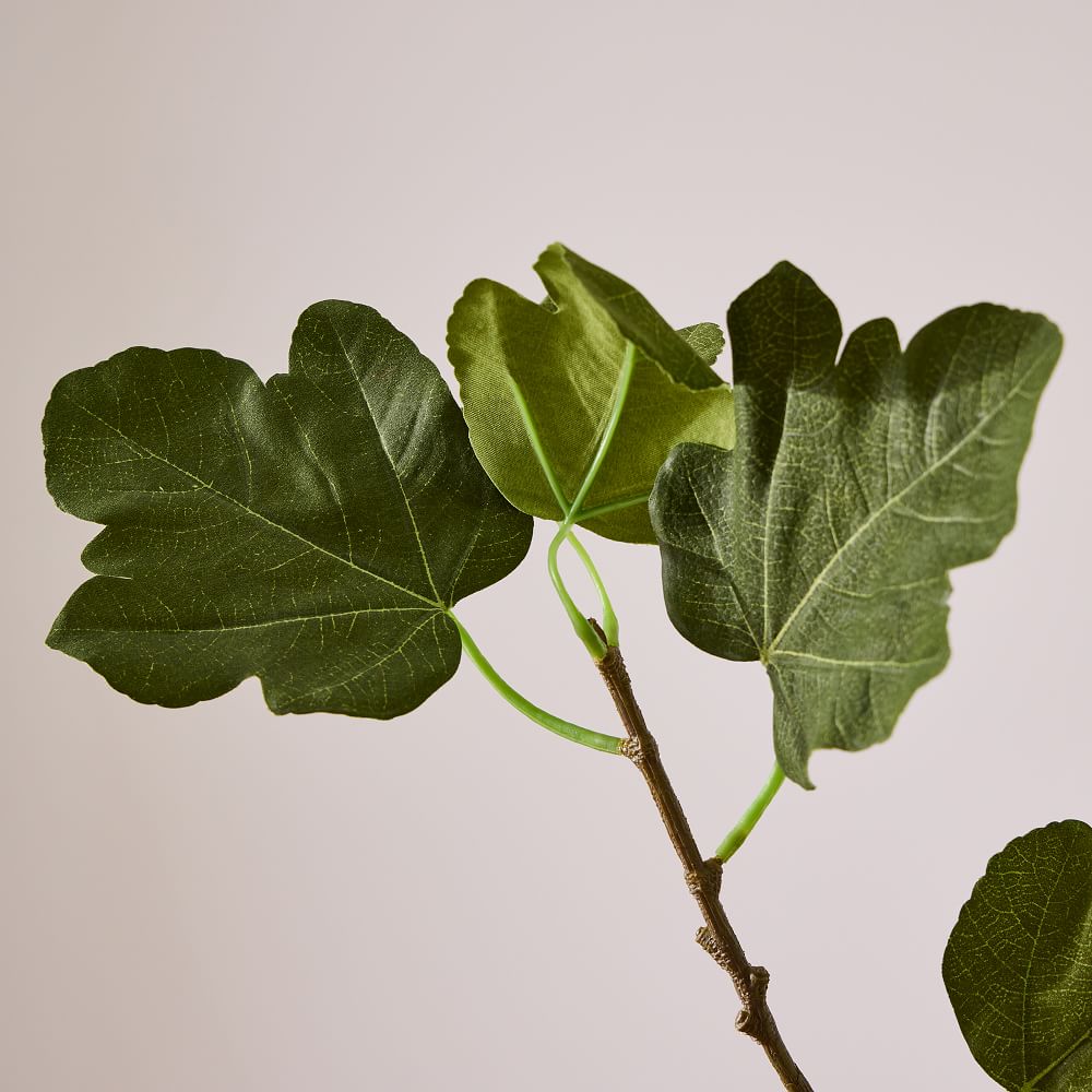 Faux Fig Tree Branch thumbnail 4