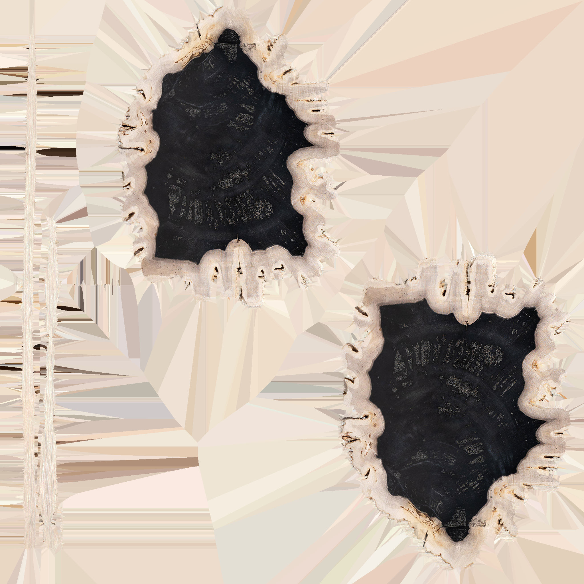 Petrified Wood Sculpture thumbnail 6