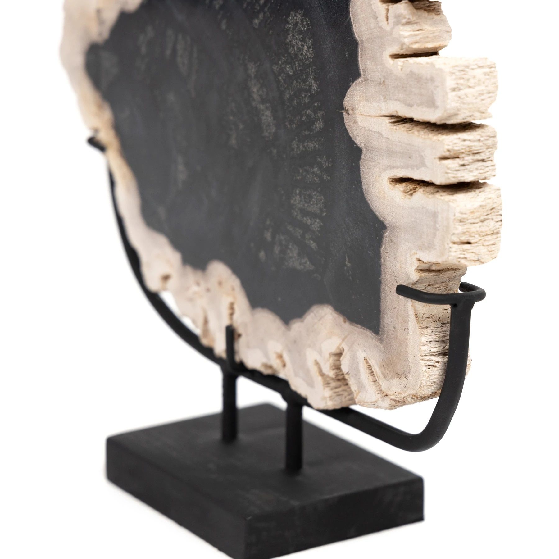 Petrified Wood Sculpture thumbnail 4