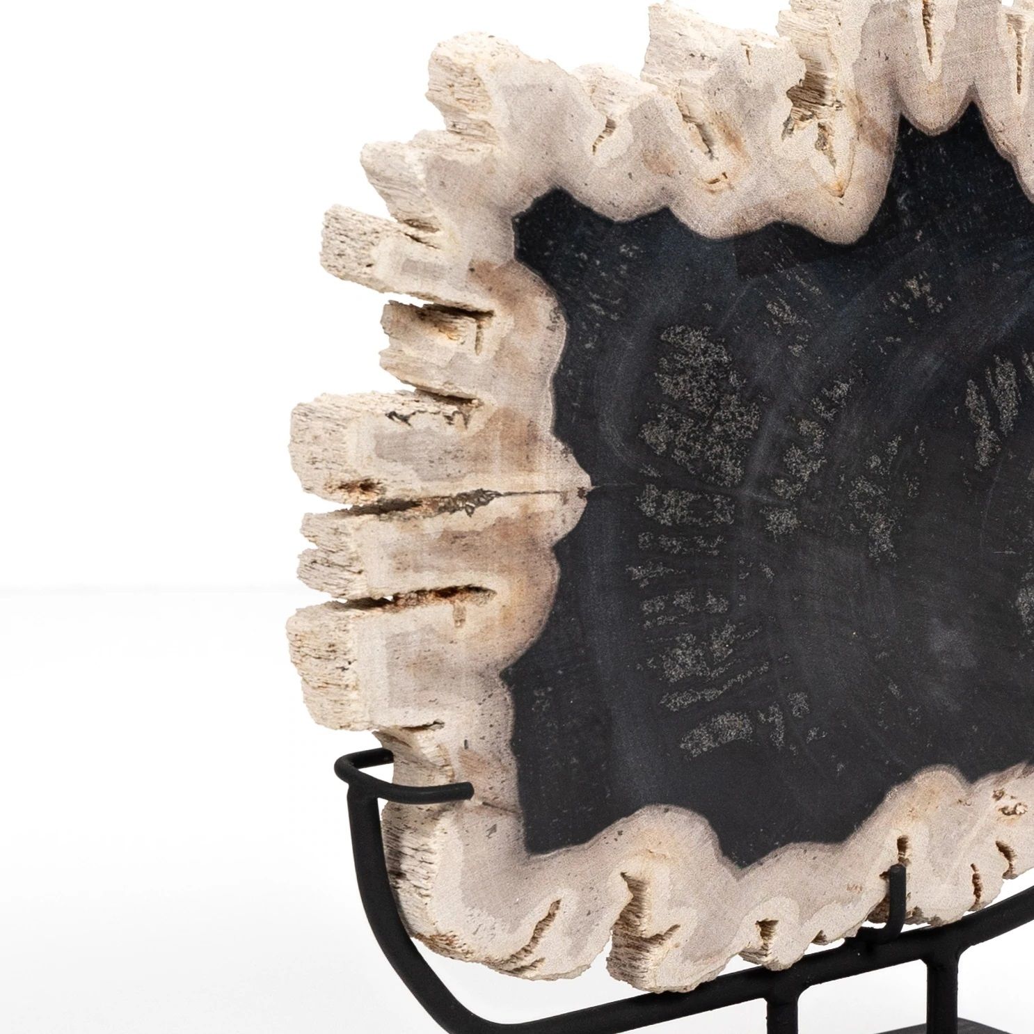 Petrified Wood Sculpture thumbnail 5