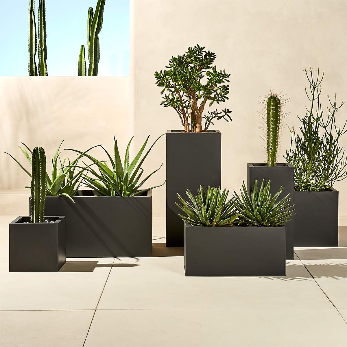 Blox Low Galvanized Charcoal Grey Indoor Outdoor Planter thumbnail 4