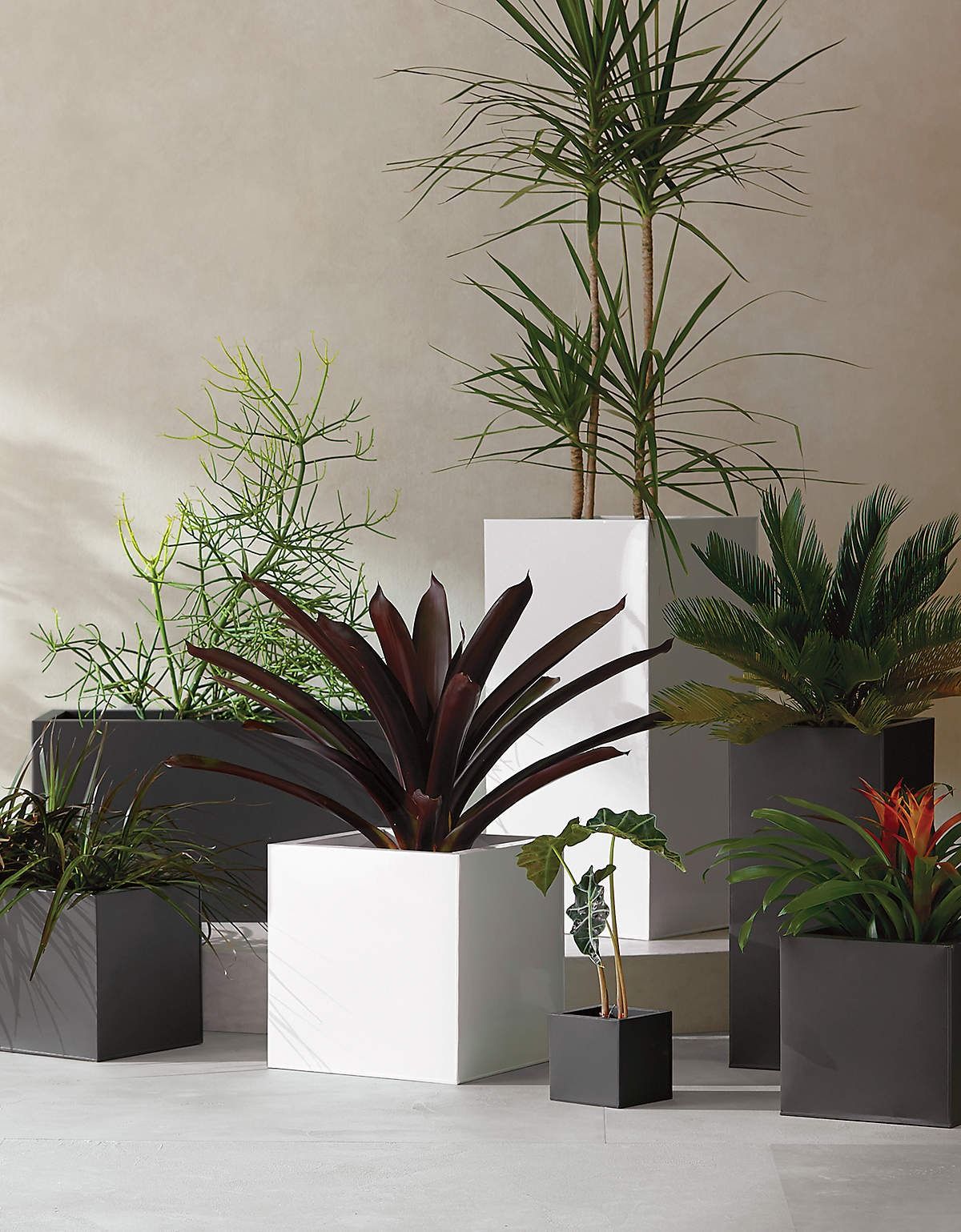 Blox Low Galvanized Charcoal Grey Indoor Outdoor Planter thumbnail 6