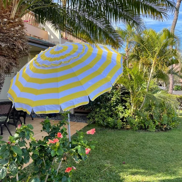 Beach Umbrella thumbnail 2