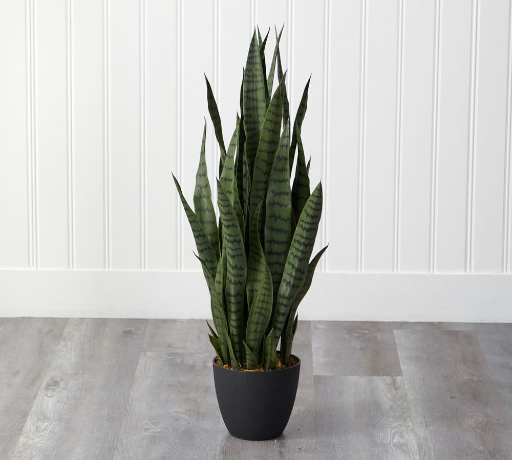 Sansevieria Faux Plant thumbnail 2