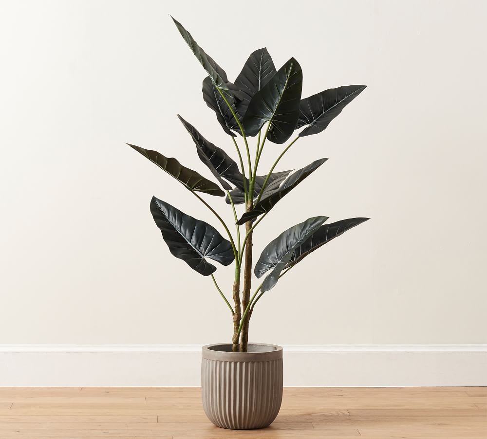 Faux Alocasia Tree thumbnail 3
