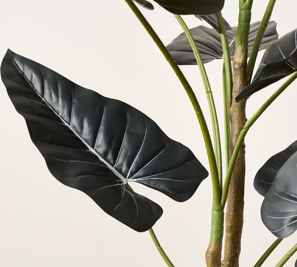 Faux Alocasia Tree thumbnail 5