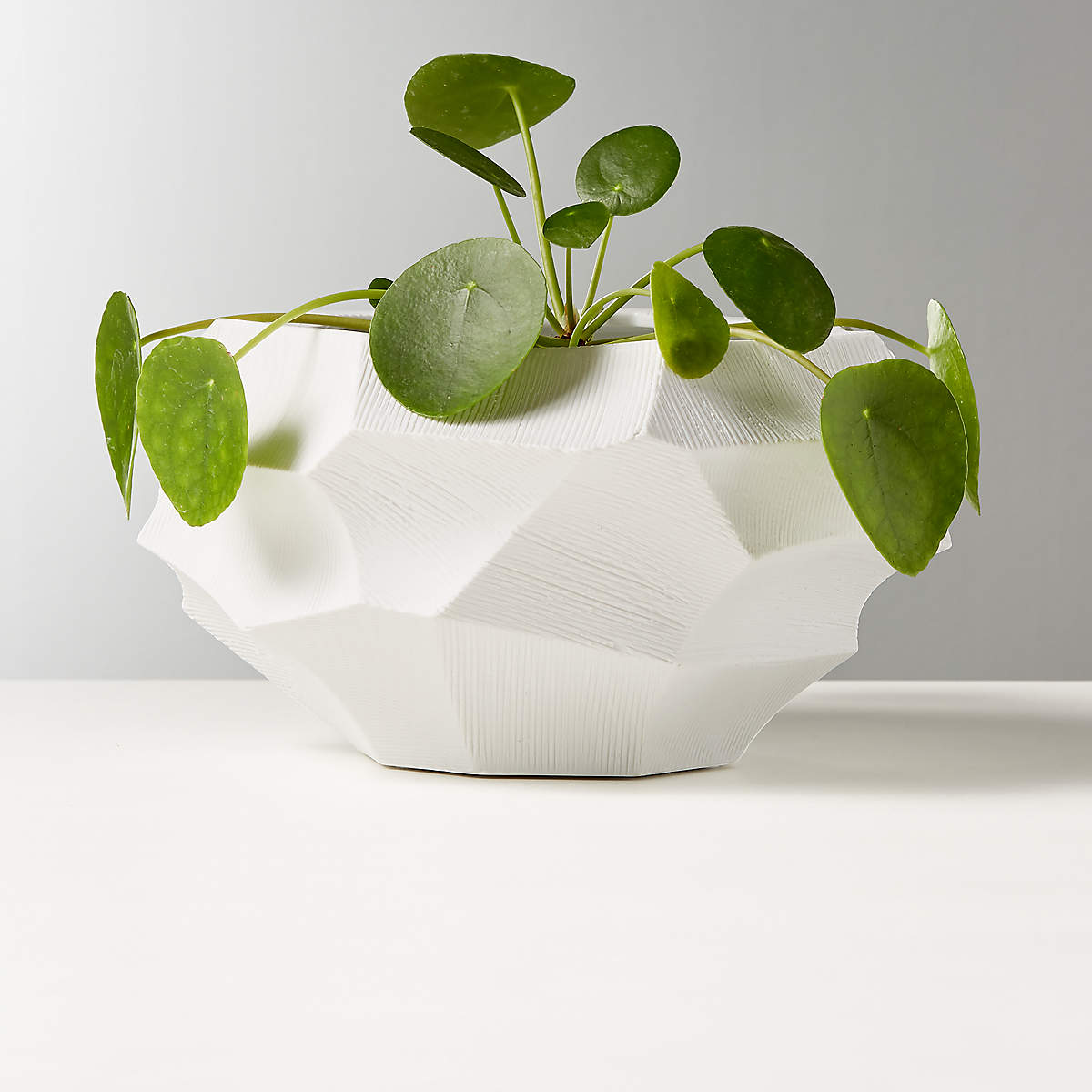 Renata Small White Planter thumbnail 3
