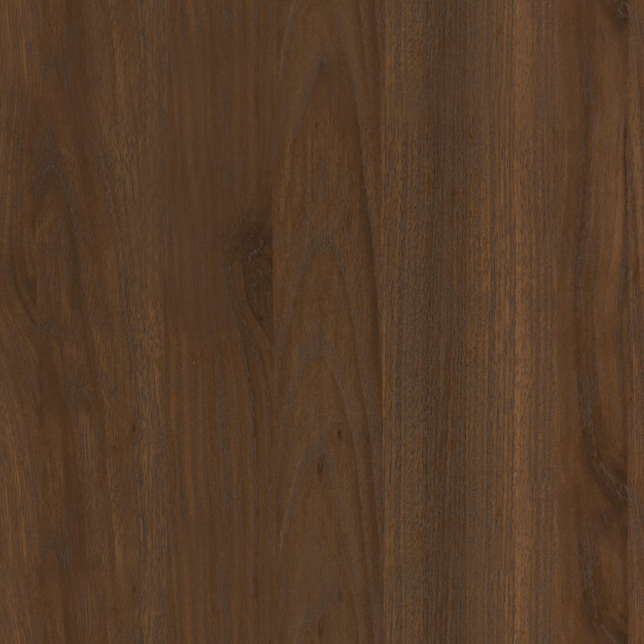 Bodeswell Steel 2 Door Accent Cabinet thumbnail 5