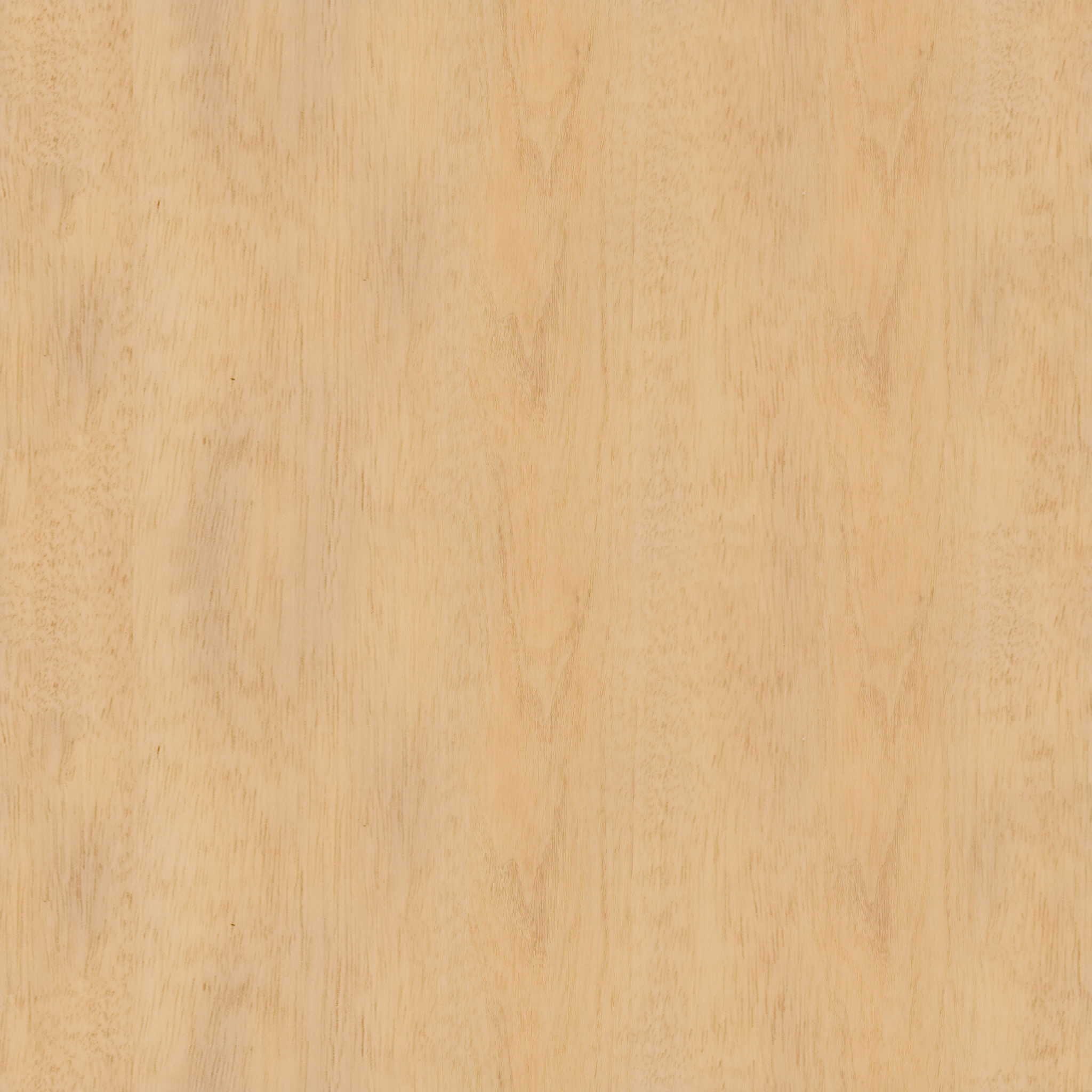 Landwehr Desk thumbnail 6