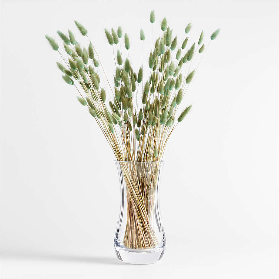 Dried Sage Bunny Tail Bunch thumbnail 3