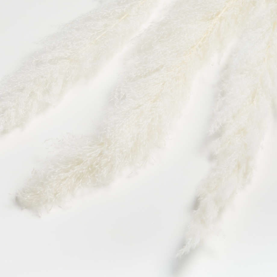 Bleached Grass Plume Dried Botanicals thumbnail 3