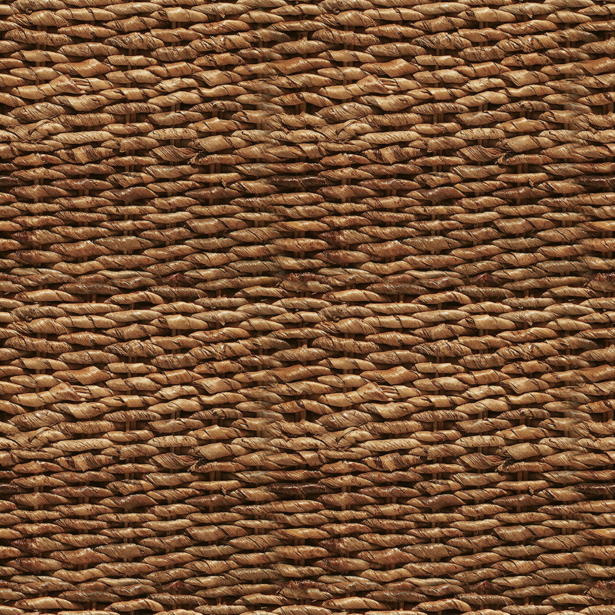 Banana Leaf Cotton thumbnail 6